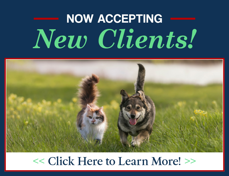 Home | Cedar Ridge Animal Hospital Home | Cedar Ridge Animal Hospital